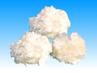 ��Ч�����w�S��ďS�����l(f��)�r(ji��)��