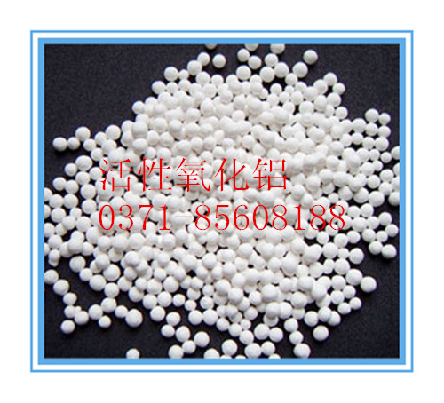 �V�|���������X����N�ۏS�҃r(ji��)����Ϣ