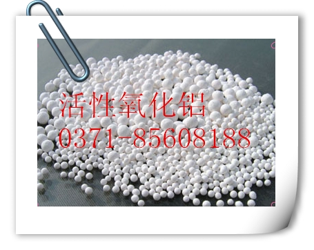 �����͸�����������X�^(q��)�e��